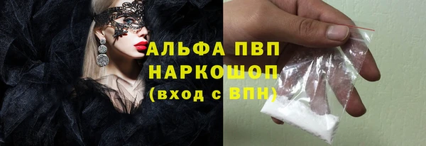 прущие грибы Армянск