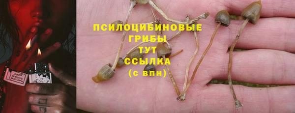 стаф Баксан