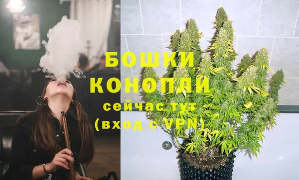 стаф Баксан