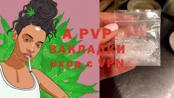 стаф Баксан
